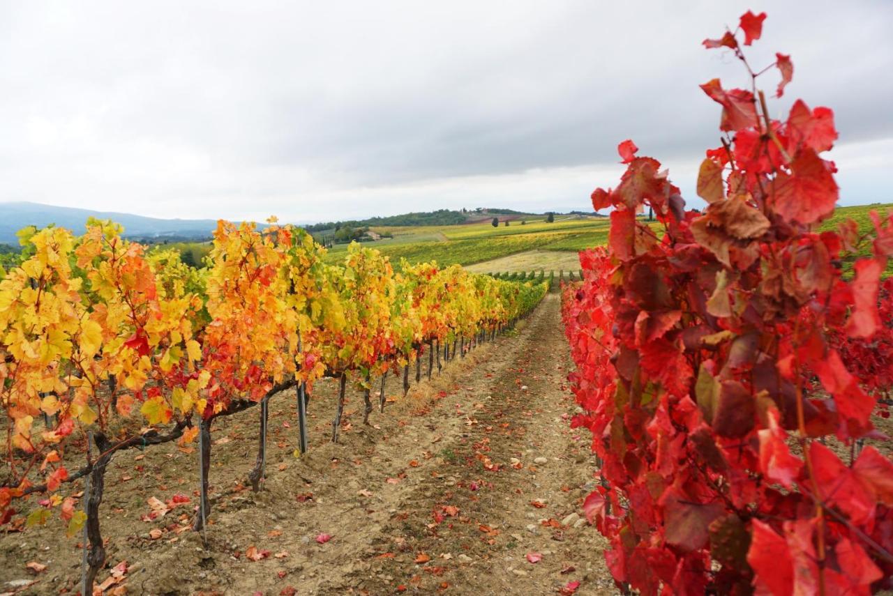 Fattoria Lornano Winery Villa Monteriggioni Luaran gambar