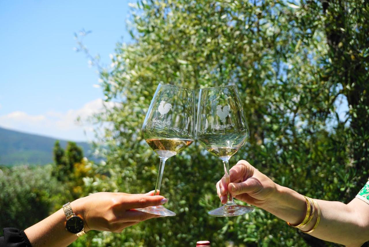 Fattoria Lornano Winery Villa Monteriggioni Luaran gambar