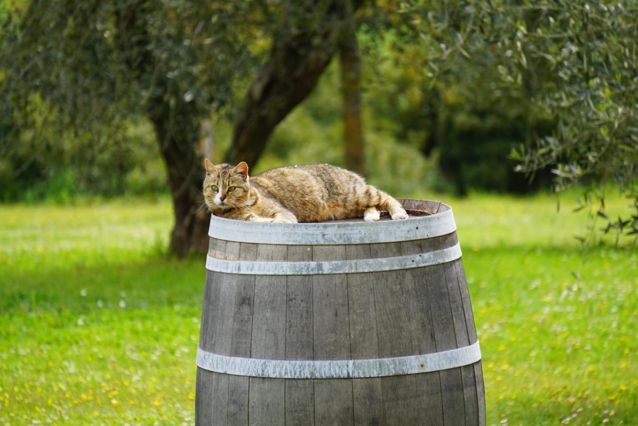Fattoria Lornano Winery Villa Monteriggioni Luaran gambar