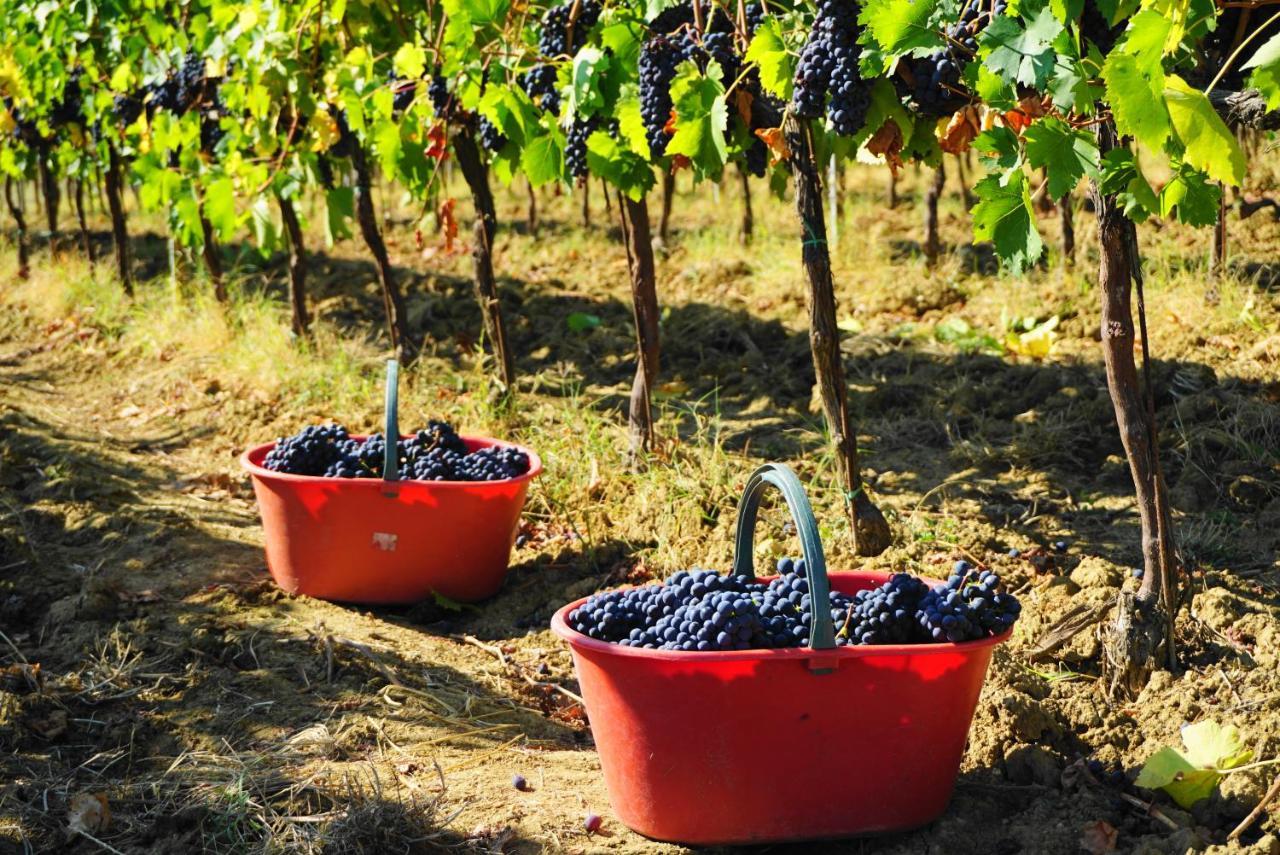Fattoria Lornano Winery Villa Monteriggioni Luaran gambar